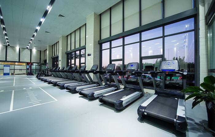 室内健身器材-快盈VIIIV9跑步机