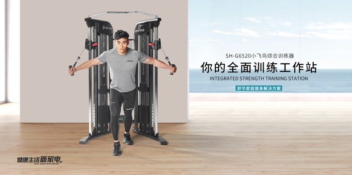 快盈VIII健身器材-小飞鸟综合训练器SH-G6520 快盈VIII健身器材-小飞鸟综合训练器SH-G6520